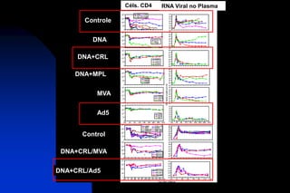 Céls. CD4 RNA Viral no Plasma
Controle
DNA
DNA+CRL
DNA+MPL
MVA
Ad5
Control
DNA+CRL/MVA
DNA+CRL/Ad5
 