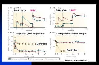 DNA MVA SHIV DNA MVA SHIV
Carga viral (RNA no plasma) Contagem de CD4 no sangue
Controles
Controles
Desafio = intrarrectal
 