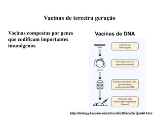 Vacinas de terceira geração
Vacinas compostas por genes
que codificam importantes
imunógenos.
Vacinas de DNA
http://biology.kenyon.edu/slonc/bio38/scuderi/partii.html
 