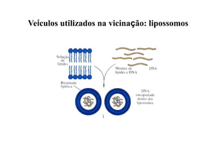 Veículos utilizados na vicinação: lipossomos
 