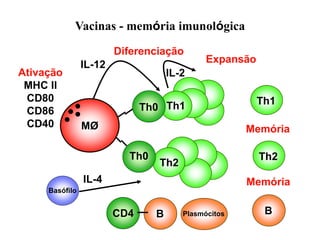 Vacinas - memória imunológica
MØ
IL-12
Th0
Th1
Ativação
MHC II
CD80
CD86
CD40
Expansão
IL-2
Diferenciação
Th1
Memória
Th0
Basófilo
IL-4
Th2
Th2
CD4 B B
Plasmócitos
Memória
 