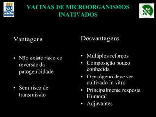 VACINAS DE MICROORGANISMOS
INATIVADOS
Vantagens
• Não existe risco de
reversão da
patogenicidade
• Sem risco de
transmissão
Desvantagens
• Múltiplos reforços
• Composição pouco
conhecida
• O patógeno deve ser
cultivado in vitro
• Principalmente resposta
Humoral
• Adjuvantes
 