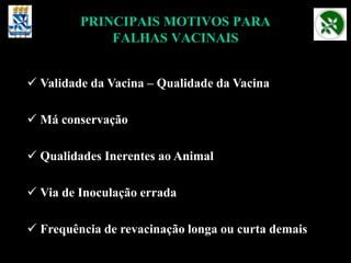 PRINCIPAIS MOTIVOS PARA
FALHAS VACINAIS
 Validade da Vacina – Qualidade da Vacina
 Má conservação
 Qualidades Inerentes ao Animal
 Via de Inoculação errada
 Frequência de revacinação longa ou curta demais
 