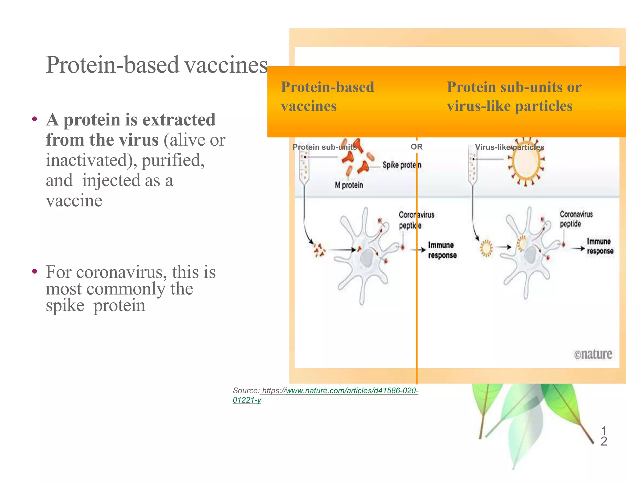 Protein-based vaccines
1
2
• A protein is extracted
from the virus (alive or
inactivated), purified,
and injected as a
vaccine
• For coronavirus, this is
most commonly the
spike protein
Virus-like particles
Protein sub-units
Protein-based
vaccines
Protein sub-units or
virus-like particles
OR
Source: https://www.nature.com/articles/d41586-020-
01221-y
 