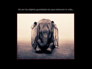 No son los objetos guardados los que estancan tu vida...




              PRODUCCIONES
              RAKIMCHILE – CANADA
 