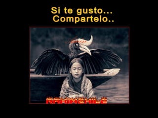 Amén....




PRODUCCIONES
RAKIMCHILE – CANADA
 