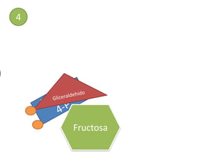 4




    Fructosa
 