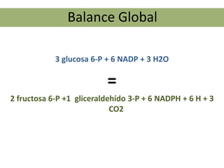 Balance Global

            3 glucosa 6-P + 6 NADP + 3 H2O

                          =
2 fructosa 6-P +1 gliceraldehído 3-P + 6 NADPH + 6 H + 3
                            CO2
 