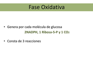 Fase Oxidativa


• Genera por cada molécula de glucosa
             2NADPH, 1 Ribosa-5-P y 1 CO2

• Consta de 3 reacciones
 