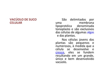 VACÚOLO DE SUCO
CELULAR

São

delimitados por
uma
membrana
lipoprotéica
denominada
tonoplasto e são exclusivos
das células de algumas algas
e das plantas.
Nas células jovens das
plantas são pequenos e
numerosos, à medida que a
célula se desenvolve e
cresce, eles se fundem
resultando em um grande,
único e bem desenvolvido
vacúolo.

 