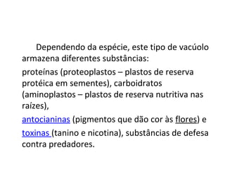 Dependendo da espécie, este tipo de vacúolo
armazena diferentes substâncias:
proteínas (proteoplastos – plastos de reserva
protéica em sementes), carboidratos
(aminoplastos – plastos de reserva nutritiva nas
raízes),
antocianinas (pigmentos que dão cor às flores) e
toxinas (tanino e nicotina), substâncias de defesa
contra predadores.

 