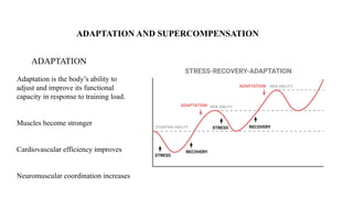 Comprehensive Guide to Training Load and Recovery Principles for ...