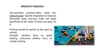 Specificity Principle Example Comprehensive Guide to Training Load and Recovery Principles for ...