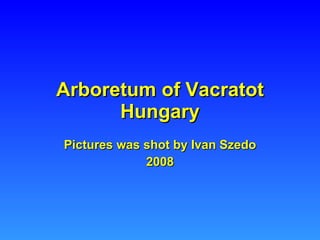Arboretum of Vacratot Hungary Pictures was shot by Ivan Szedo 2008 