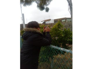Vacs