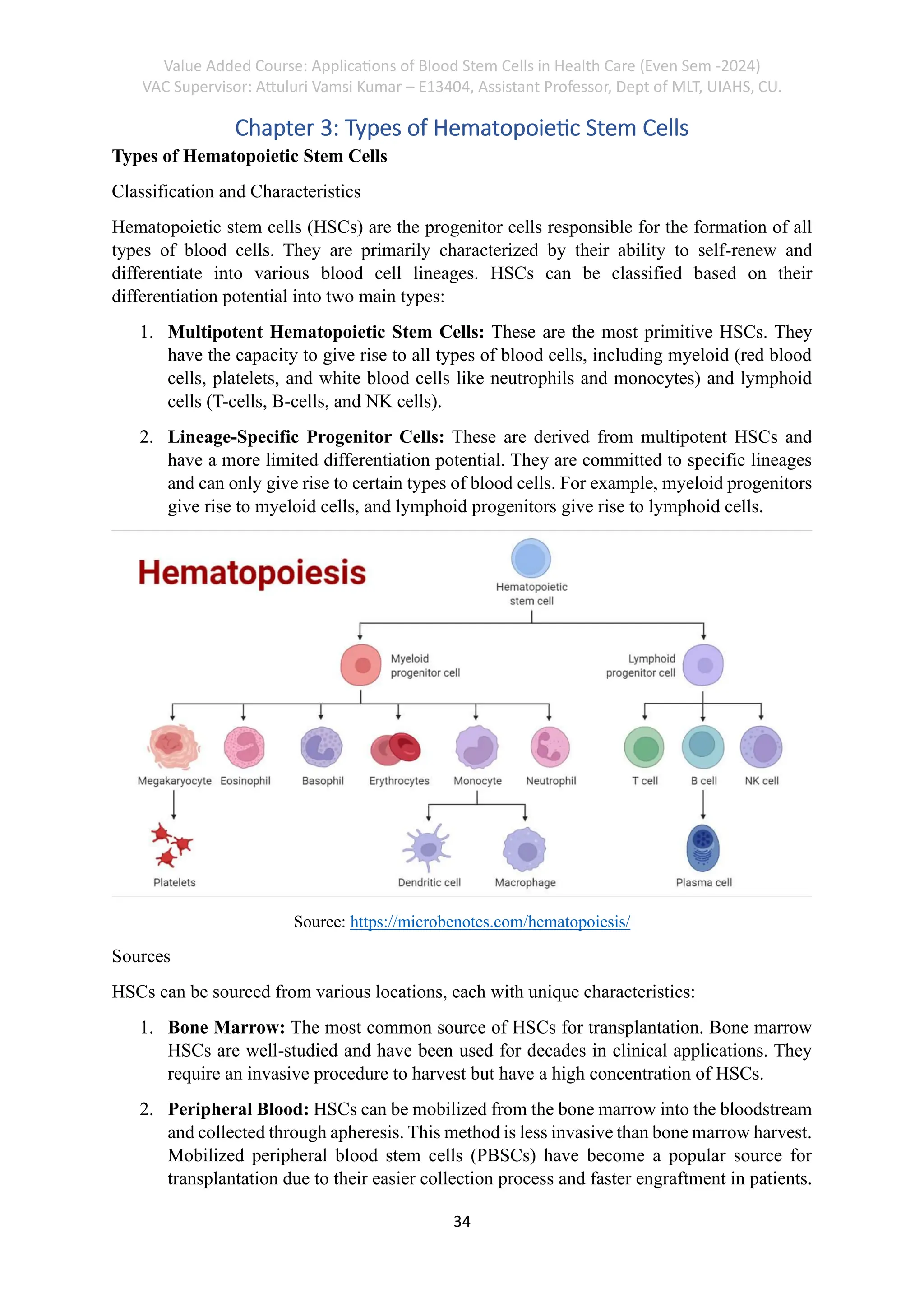 Value Added Course: Applications of Blood Stem Cells in Health Care (Even Sem -2024)
VAC Supervisor: Attuluri Vamsi Kumar – E13404, Assistant Professor, Dept of MLT, UIAHS, CU.
34
Chapter 3: Types of Hematopoietic Stem Cells
Types of Hematopoietic Stem Cells
Classification and Characteristics
Hematopoietic stem cells (HSCs) are the progenitor cells responsible for the formation of all
types of blood cells. They are primarily characterized by their ability to self-renew and
differentiate into various blood cell lineages. HSCs can be classified based on their
differentiation potential into two main types:
1. Multipotent Hematopoietic Stem Cells: These are the most primitive HSCs. They
have the capacity to give rise to all types of blood cells, including myeloid (red blood
cells, platelets, and white blood cells like neutrophils and monocytes) and lymphoid
cells (T-cells, B-cells, and NK cells).
2. Lineage-Specific Progenitor Cells: These are derived from multipotent HSCs and
have a more limited differentiation potential. They are committed to specific lineages
and can only give rise to certain types of blood cells. For example, myeloid progenitors
give rise to myeloid cells, and lymphoid progenitors give rise to lymphoid cells.
Source: https://microbenotes.com/hematopoiesis/
Sources
HSCs can be sourced from various locations, each with unique characteristics:
1. Bone Marrow: The most common source of HSCs for transplantation. Bone marrow
HSCs are well-studied and have been used for decades in clinical applications. They
require an invasive procedure to harvest but have a high concentration of HSCs.
2. Peripheral Blood: HSCs can be mobilized from the bone marrow into the bloodstream
and collected through apheresis. This method is less invasive than bone marrow harvest.
Mobilized peripheral blood stem cells (PBSCs) have become a popular source for
transplantation due to their easier collection process and faster engraftment in patients.
 