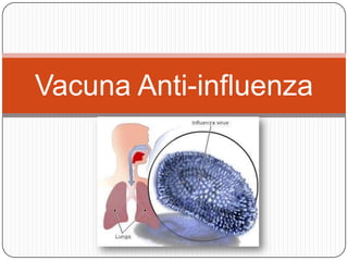 Vacuna Anti-influenza

 