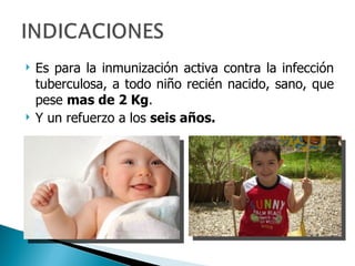 <ul><li>Es para la inmunización activa contra la infección tuberculosa, a todo niño recién nacido, sano, que pese  mas de ...