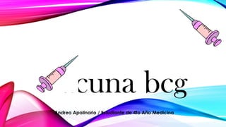 Vacuna bcg
Andrea Apolinario / Estudiante de 4to Año Medicina
 