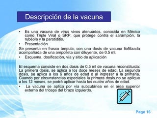 Descripción de la vacuna
•  Es una vacuna de virus vivos atenuados, conocida en México
   como Triple Viral o SRP, que protege contra el sarampión, la
   rubéola y la parotiditis.
• Presentación
Se presenta en frasco ámpula, con una dosis de vacuna liofilizada
acompañada de una ampolleta con diluyente, de 0.5 ml.
• Esquema, dosificación, vía y sitio de aplicación

El esquema consiste en dos dosis de 0.5 ml de vacuna reconstituida:
La primera dosis, se aplica a los doce meses de edad. La segunda
dosis, se aplica a los 6 años de edad o al ingresar a la primaria.
Cuando por circunstancias especiales la primera dosis no se aplique
a los 12 meses, se podrá aplicar hasta los cuatro años de edad.
• La vacuna se aplica por vía subcutánea en el área superior
    externa del triceps del brazo izquierdo.




                                                                Page 16
 