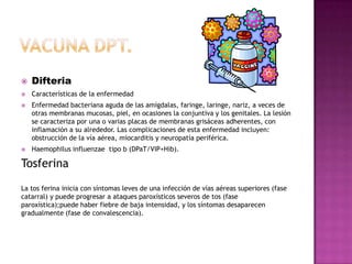    Difteria
   Características de la enfermedad
   Enfermedad bacteriana aguda de las amígdalas, faringe, laringe, nariz, a veces de
    otras membranas mucosas, piel, en ocasiones la conjuntiva y los genitales. La lesión
    se caracteriza por una o varias placas de membranas grisáceas adherentes, con
    inflamación a su alrededor. Las complicaciones de esta enfermedad incluyen:
    obstrucción de la vía aérea, miocarditis y neuropatía periférica.
   Haemophilus influenzae tipo b (DPaT/VIP+Hib).

Tosferina
La tos ferina inicia con síntomas leves de una infección de vías aéreas superiores (fase
catarral) y puede progresar a ataques paroxísticos severos de tos (fase
paroxística);puede haber fiebre de baja intensidad, y los síntomas desaparecen
gradualmente (fase de convalescencia).
 