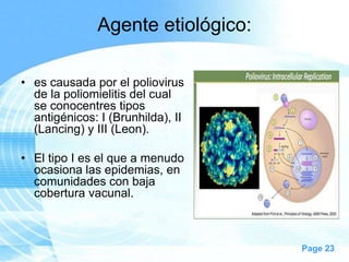 Agente etiológico:

• es causada por el poliovirus
  de la poliomielitis del cual
  se conocentres tipos
  antigénicos: I (Brunhilda), II
  (Lancing) y III (Leon).

• El tipo I es el que a menudo
  ocasiona las epidemias, en
  comunidades con baja
  cobertura vacunal.



                                    Page 23
 