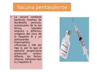 Vacuna pentavalente
• La vacuna contiene
  bacterias muertas de
  Bordetella pertusis,
  ocasionante de la tos
  ferina,        toxoides
  tetánico y diftérico,
  antígeno del virus de
  la hepatitis B y un
  polisacárido
  Haemophilus
  influenzae o Hib del
  tipo b, por lo que al
  aplicarla proporciona
  protección       contra:
  difteria, tos ferina,
  tétanos, influenza tipo
  b y hepatitis B.
 