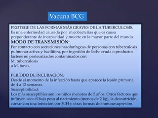 Vacuna BCG
PROTEGE DE LAS FORMAS MÁS GRAVES DE LA TUBERCULOSIS.
Es una enfermedad causada por micobacterias que es causa
preponderante de incapacidad y muerte en la mayor parte del mundo
MODO DE TRANSMISIÓN:
Por contacto con secreciones nasofaríngeas de personas con tuberculosis
pulmonar activa y bacilífera, por ingestión de leche cruda o productos
lácteos no pasteurizados contaminados con
M. tuberculosis
o M. bovis.

PERÍODO DE INCUBACIÓN:
Desde el momento de la infección hasta que aparece la lesión primaria,
de 4 a 12 semanas.
Susceptibilidad:
Los más susceptibles son los niños menores de 5 años. Otros factores que
influyen son: el bajo peso al nacimiento (menos de 2 kg), la desnutrición,
cursar con una infección por VIH y otras formas de inmunosupresión
 