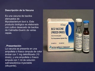 Descripción de la Vacuna

Es una vacuna de bacilos
atenuados de
Mycobacterium bovi s. Este
producto biológico es elaborado
con cultivo desecado de bacilos
de Calmette-Guerin de varias
cepas.




. Presentación
La vacuna se presenta en una
ampolleta o frasco ámpula de color
ámbar con 1 mg deliofilizado (10
dosis), y una ampolleta o frasco
ámpula con 1 ml de solución
salinaisotónica inyectable
(diluyente).
 