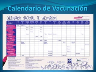 Calendario de Vacunación

 