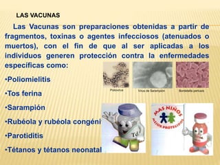 Las Vacunas son preparaciones obtenidas a partir de
fragmentos, toxinas o agentes infecciosos (atenuados o
muertos), con el fin de que al ser aplicadas a los
individuos generen protección contra la enfermedades
específicas como:
•Poliomielitis
•Tos ferina
•Sarampión
•Rubéola y rubéola congénita
•Parotiditis
•Tétanos y tétanos neonatal
LAS VACUNAS
Poliovirus Virus de Sarampión Bordetella pertusis
 