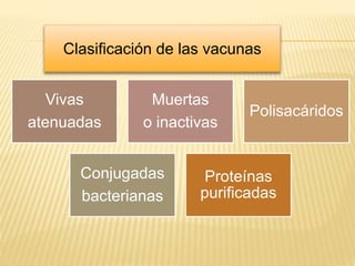 Vivas
atenuadas
Muertas
o inactivas
Polisacáridos
Conjugadas
bacterianas
Proteínas
purificadas
Clasificación de las vacunas
 