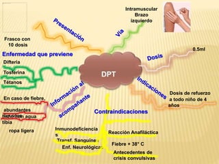 Inmunodeficiencia
s
Difteria
En caso de fiebre,
abundantes
líquidos
Reacción Anafiláctica
baño con agua
tibia
ropa ligera
0.5ml
a todo niño de 4
años
Dosis de refuerzo
Transf. Sanguínea
Tosferina
Tétanos
Enf. Neurológicas
Fiebre + 38° C
Antecedentes de
crisis convulsivas
Intramuscular
Brazo
izquierdo
Contraindicaciones
Enfermedad que previene
Frasco con
10 dosis
 
