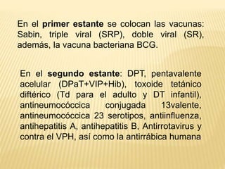 En el primer estante se colocan las vacunas:
Sabin, triple viral (SRP), doble viral (SR),
además, la vacuna bacteriana BCG.
En el segundo estante: DPT, pentavalente
acelular (DPaT+VIP+Hib), toxoide tetánico
diftérico (Td para el adulto y DT infantil),
antineumocóccica conjugada 13valente,
antineumocóccica 23 serotipos, antiinfluenza,
antihepatitis A, antihepatitis B, Antirrotavirus y
contra el VPH, así como la antirrábica humana
 