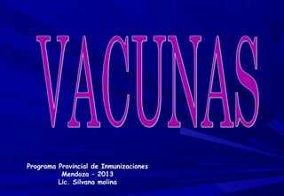 Programa Provincial de Inmunizaciones
Mendoza – 2013
Lic. Silvana molina

 