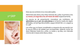 1ºSRP
Esta vacuna contiene virus vivos atenuados.
Administra dos dosis a los niños menores de 5 años: la primera a los
12 meses y la segunda a los 18 meses de edad respectivamente.
La vacuna es de presentación monodosis y/o multidosis, se
administra 0.5 cc por vía subcutánea en el tercio medio de región
deltoidea, con jeringa descartable y aguja retráctil de 1 cc y aguja 25
G x 5/8".
Los niños que no hayan completado su esquema de vacunación con
la vacuna SPR en las edades que corresponden, deberán recibir las
dosis faltantes hasta los 4 años, 11 meses y 29 días; con intervalo
mínimo de 6 meses entre dosis y dosis.
 