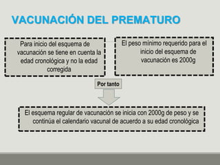 VACUNACIÓN DEL PREMATURO
Para inicio del esquema de
vacunación se tiene en cuenta la
edad cronológica y no la edad
corregida
El peso mínimo requerido para el
inicio del esquema de
vacunación es 2000g
El esquema regular de vacunación se inicia con 2000g de peso y se
continúa el calendario vacunal de acuerdo a su edad cronológica
Por tanto
 