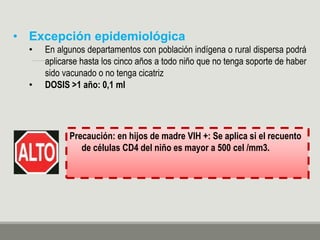 • Excepción epidemiológica
• En algunos departamentos con población indígena o rural dispersa podrá
aplicarse hasta los cinco años a todo niño que no tenga soporte de haber
sido vacunado o no tenga cicatriz
• DOSIS >1 año: 0,1 ml
Precaución: en hijos de madre VIH +: Se aplica si el recuento
de células CD4 del niño es mayor a 500 cel /mm3.
 