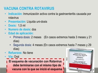VACUNA CONTRA ROTAVIRUS
• Indicación: Inmunización activa contra la gastroenteritis causada por
rotavirus
• Presentación: Líquida uni-dosis
• Dosis: 1,5 ml
• Numero de dosis: dos
• Edad de aplicación:
• Primera dosis: 2 meses (En casos extremos hasta 3 meses y 21
días)
• Segunda dosis: 4 meses (En casos extremos hasta 7 meses y 29
días)
• Refuerzos: No tiene
• Vía: Oral
El esquema de vacunación con Rotavirus
debe terminarse con el mismo tipo de
vacuna con la que se inició el esquema
 