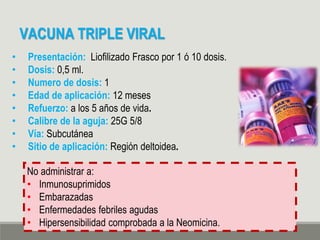 VACUNA TRIPLE VIRAL
• Presentación: Liofilizado Frasco por 1 ó 10 dosis.
• Dosis: 0,5 ml.
• Numero de dosis: 1
• Edad de aplicación: 12 meses
• Refuerzo: a los 5 años de vida.
• Calibre de la aguja: 25G 5/8
• Vía: Subcutánea
• Sitio de aplicación: Región deltoidea.
No administrar a:
• Inmunosuprimidos
• Embarazadas
• Enfermedades febriles agudas
• Hipersensibilidad comprobada a la Neomicina.
 