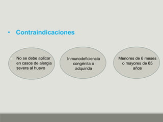 • Contraindicaciones
Inmunodeficiencia
congénita o
adquirida
Menores de 6 meses
o mayores de 65
años
 No se debe aplicar
en casos de alergia
severa al huevo
 