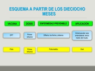 ESQUEMA A PARTIR DE LOS DIECIOCHO
MESES
VACUNA DOSIS ENFERMEDAD PREVENIBLE APLICACIÓN
DPT Primer
refuerzo
Difteria, tos ferina y tetanos
Intramuscular cara
anterolateral, tercio
medio del muslo.
Polio Primer
refuerzo
Poliomielitis Oral
 