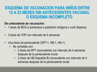 ESQUEMA DE VACUNACION PARA NIÑOS ENTRE
12 A 23 MESES SIN ANTECEDENTES VACUNAL
O ESQUEMA INCOMPLETO
Sin antecedente de vacunación:
• 1 dosis de BCG si pertenece a población indígena o rural dispersa
• 3 dosis de VOP con intervalo de 4 semanas
• Una dosis de pentavalente (DPT-1, HB-1, Hib-1)
• Se completa con:
• 2 dosis de DPT monovalente con intervalo de 4 semanas
después de la pentavalente inicial
• 2 dosis de HB (hepatitis B) monovalente con intervalo de 4
semanas después de la pentavalente inicial
 