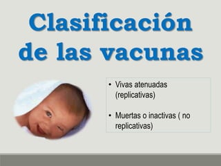 Clasificación
de las vacunas
• Vivas atenuadas
(replicativas)
• Muertas o inactivas ( no
replicativas)
 