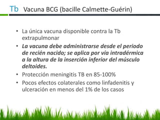 • La única vacuna disponible contra la Tb
extrapulmonar
• La vacuna debe administrarse desde el periodo
de recién nacido; se aplica por vía intradérmica
a la altura de la inserción inferior del músculo
deltoides.
• Protección meningitis TB en 85-100%
• Pocos efectos colaterales como linfadenitis y
ulceración en menos del 1% de los casos
 