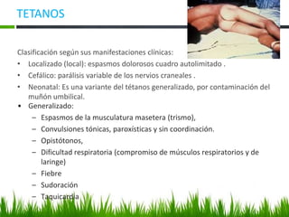TETANOS
Clasificación según sus manifestaciones clínicas:
• Localizado (local): espasmos dolorosos cuadro autolimitado .
• Cefálico: parálisis variable de los nervios craneales .
• Neonatal: Es una variante del tétanos generalizado, por contaminación del
muñón umbilical.
• Generalizado:
– Espasmos de la musculatura masetera (trismo),
– Convulsiones tónicas, paroxísticas y sin coordinación.
– Opistótonos,
– Dificultad respiratoria (compromiso de músculos respiratorios y de
laringe)
– Fiebre
– Sudoración
– Taquicardia
 