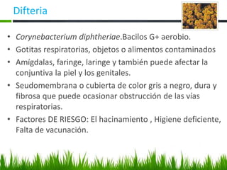 Difteria
• Corynebacterium diphtheriae.Bacilos G+ aerobio.
• Gotitas respiratorias, objetos o alimentos contaminados
• Amígdalas, faringe, laringe y también puede afectar la
conjuntiva la piel y los genitales.
• Seudomembrana o cubierta de color gris a negro, dura y
fibrosa que puede ocasionar obstrucción de las vías
respiratorias.
• Factores DE RIESGO: El hacinamiento , Higiene deficiente,
Falta de vacunación.
 