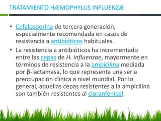 TRATAMIENTO HÆMOPHYLUS INFLUENZÆ
• Cefalosporina de tercera generación,
especialmente recomendada en casos de
resistencia a antibióticos habituales.
• La resistencia a antibióticos ha incrementado
entre las cepas de H. influenzae, mayormente en
términos de resistencia a la ampicilina mediada
por β-lactamasa, lo que representa una seria
preocupación clínica a nivel mundial. Por lo
general, aquellas cepas resistentes a la ampicilina
son también resistentes al cloranfenicol.
 