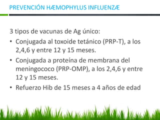 PREVENCIÓN HÆMOPHYLUS INFLUENZÆ
3 tipos de vacunas de Ag único:
• Conjugada al toxoide tetánico (PRP-T), a los
2,4,6 y entre 12 y 15 meses.
• Conjugada a proteína de membrana del
meningococo (PRP-OMP), a los 2,4,6 y entre
12 y 15 meses.
• Refuerzo Hib de 15 meses a 4 años de edad
 