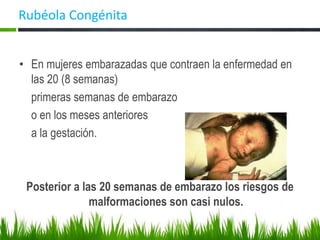 Rubéola Congénita
• En mujeres embarazadas que contraen la enfermedad en
las 20 (8 semanas)
primeras semanas de embarazo
o en los meses anteriores
a la gestación.
Posterior a las 20 semanas de embarazo los riesgos de
malformaciones son casi nulos.
 